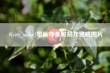 五指山奥运夺金时刻九宫格图片
