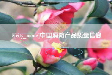 五指山中国消防产品质量信息
