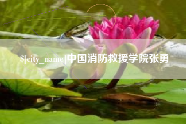 五指山中国消防救援学院张勇