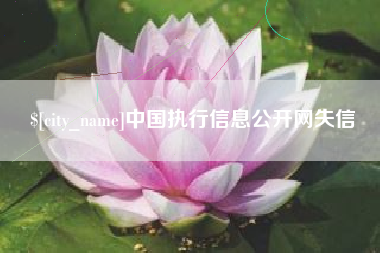 五指山中国执行信息公开网失信