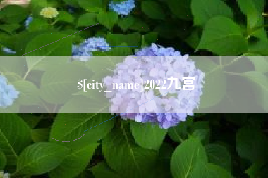 五指山2022九宫