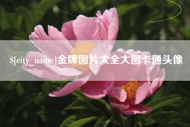 五指山金牌图片大全大图卡通头像