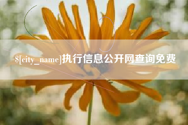 五指山执行信息公开网查询免费